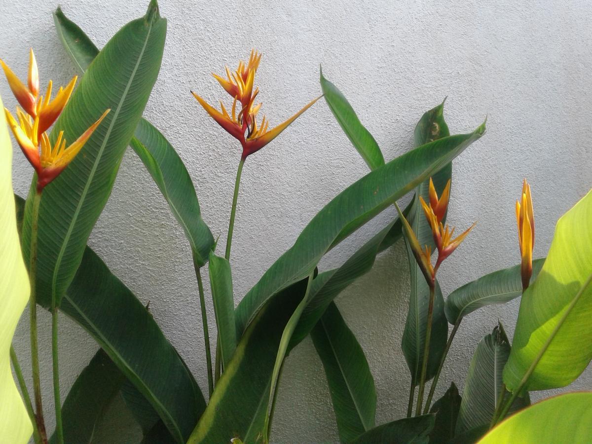Apna Homestay Apartments Unawatuna Dış mekan fotoğraf